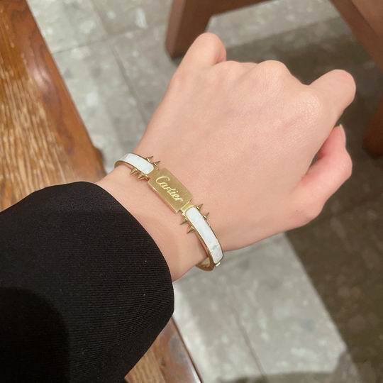 Cartier bracelet 12lyh225 (1)