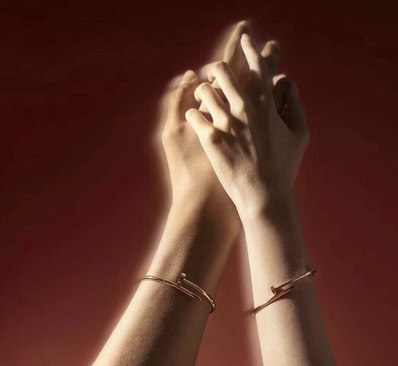 Cartier bracelet 04lyx130 (9)