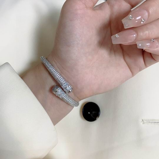 Cartier bracelet 12lyh221 (1)