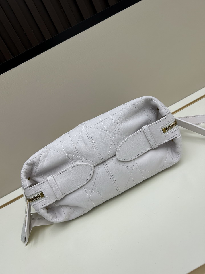 Dior journey 0339 23x14x16cm jj3_1