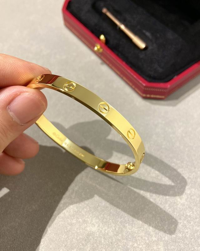 Cartier bracelet 12lyx41 (27)