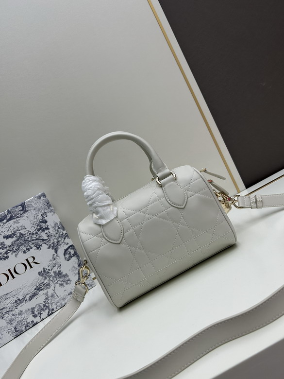Dior 0270 20x13 5x12cm jj2_1