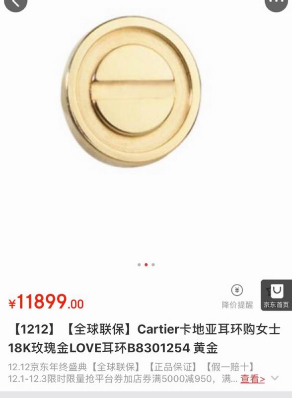 Cartier earring 03lyx28 (16)