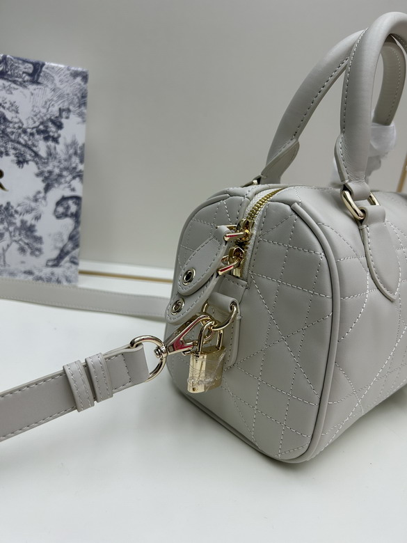 Dior 0270 20x13 5x12cm jj2_1