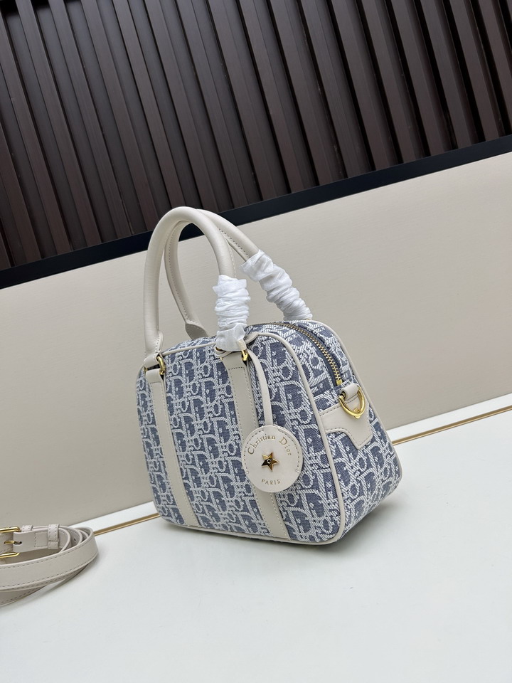 Dior 8027 25x16x9 5cm jj_1