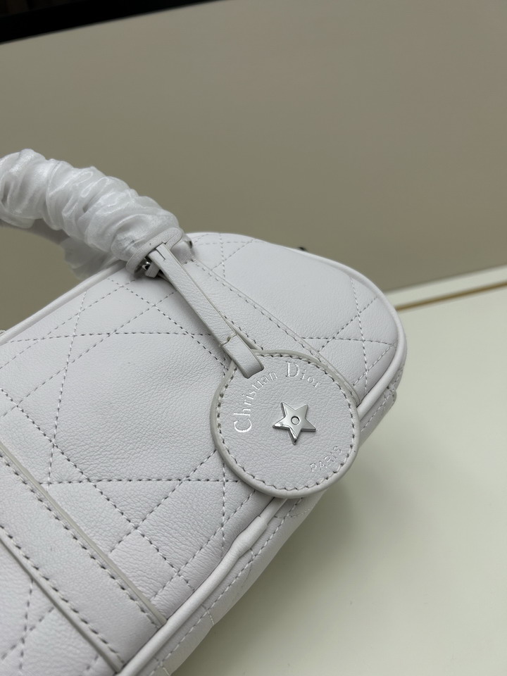 Dior 1683 20 5x13x5cm ss3_1