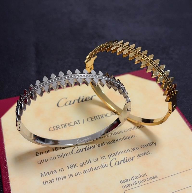 Cartier bracelet 05yxh10 (1)