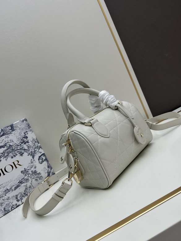 Dior 0270 20x13 5x12cm jj2_1