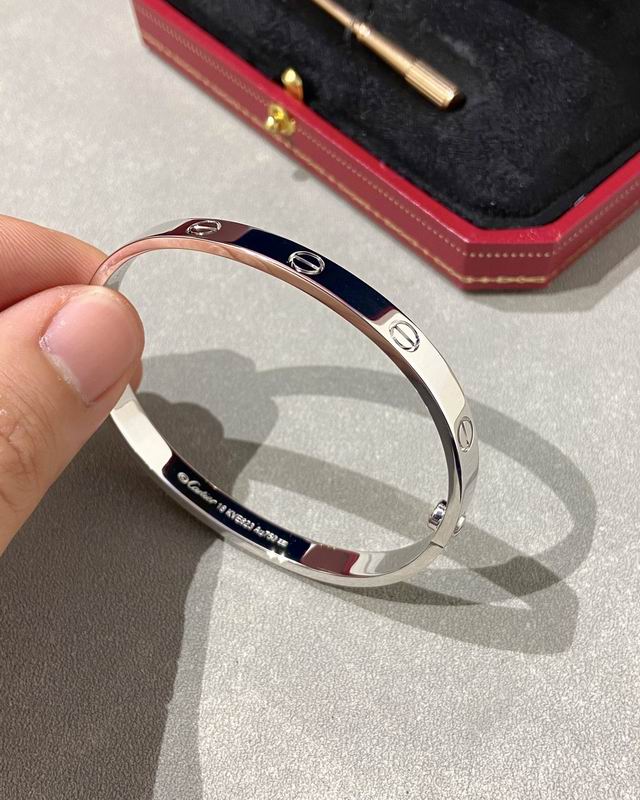 Cartier bracelet 12lyx41 (27)