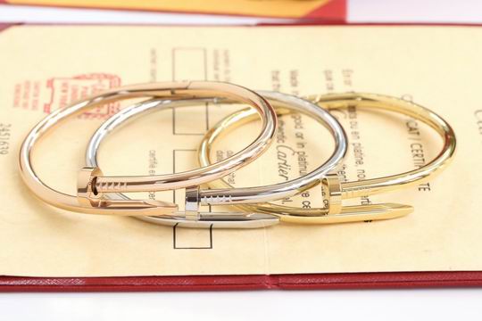 Cartier bracelet 11lyh198 (1)
