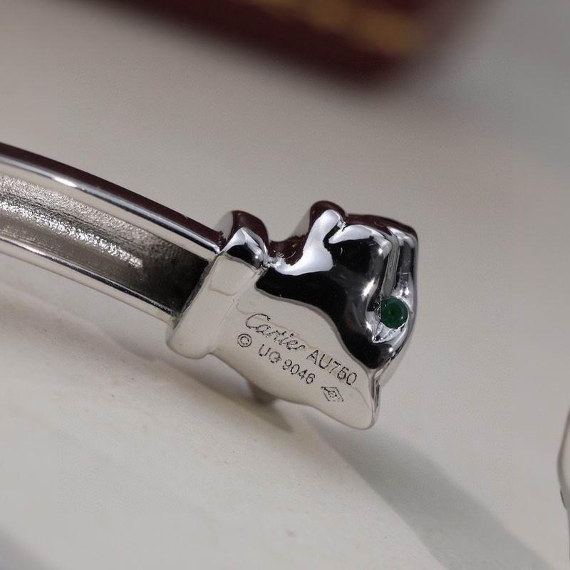Cartier bracelet 05yxh07 (1)