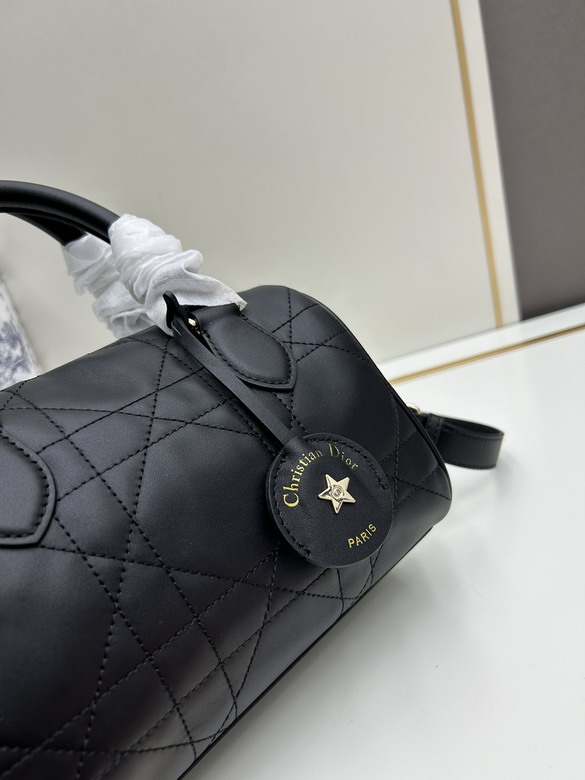 Dior 0270 20x13 5x12cm jj_1