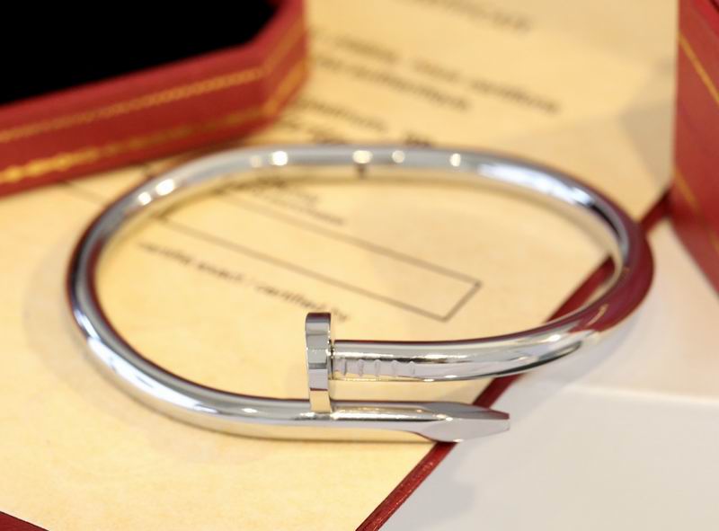 Cartier bracelet 10lyx15 (9)