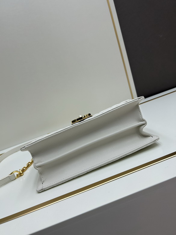 Dior 4401 25x16x9cm jj2_1