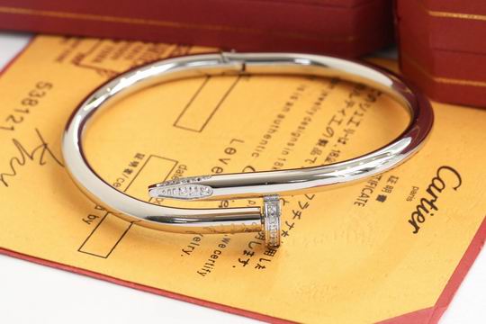 Cartier bracelet 11lyh195 (1)