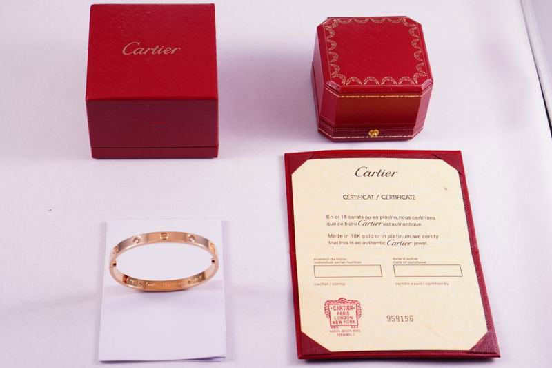 Cartier bracelet 03lyx62 (27)