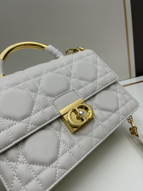 Dior 4401 25x16x9cm jj2_1