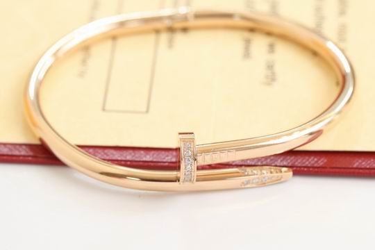 Cartier bracelet 11lyh196 (1)