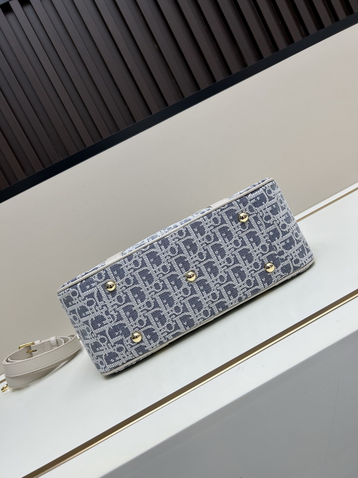 Dior 8029 31x22 5x11 5cm jj_1