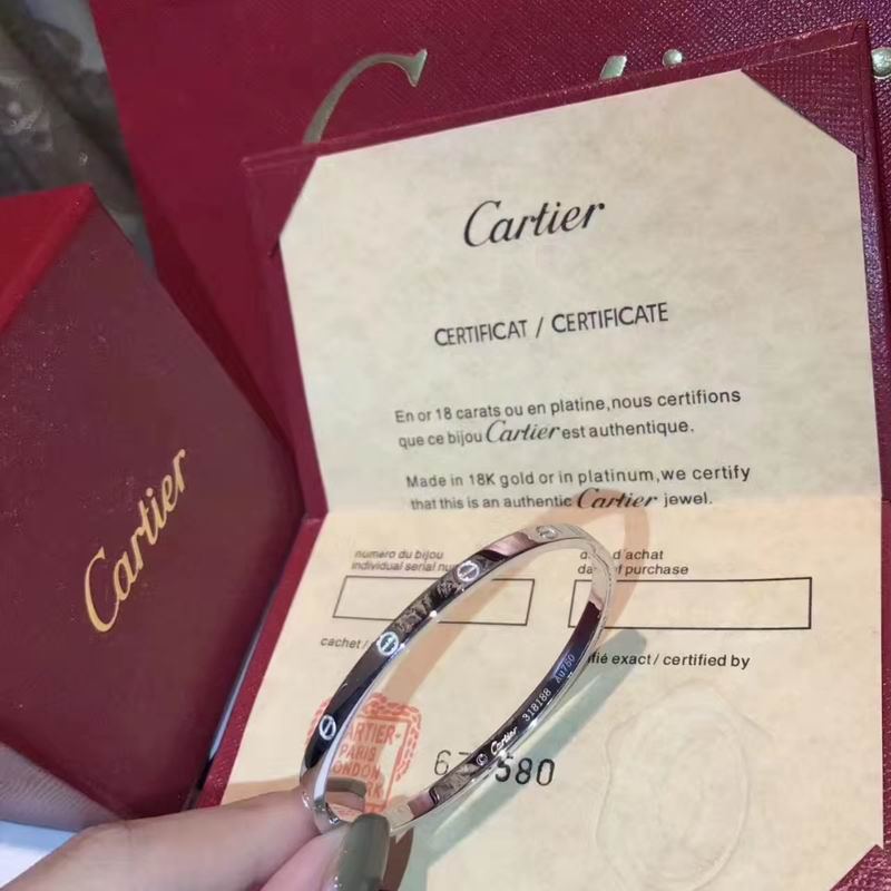 Cartier bracelet 09lyx4 (9)