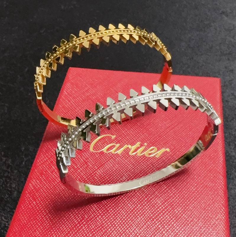 Cartier bracelet 05yxh10 (1)