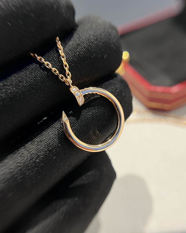 Cartier necklace 12lyx33 (18)