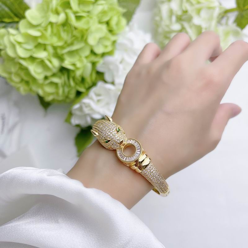 Cartier bracelet 11lyx37 (9)