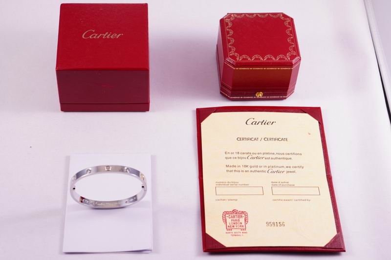Cartier bracelet 03lyx62 (27)