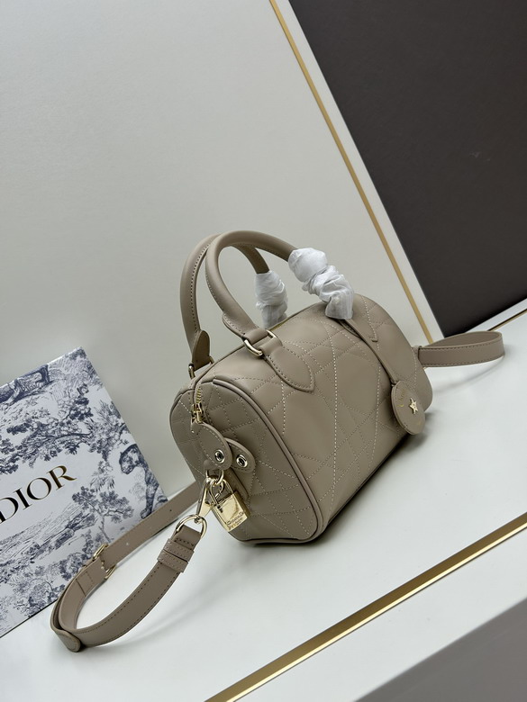 Dior 0270 20x13 5x12cm jj1_1