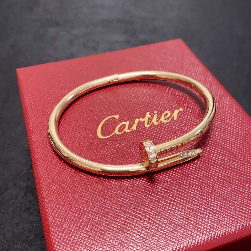 Cartier bracelet 11lyx36 (9)