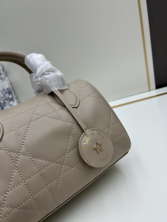 Dior 0270 20x13 5x12cm jj1_1