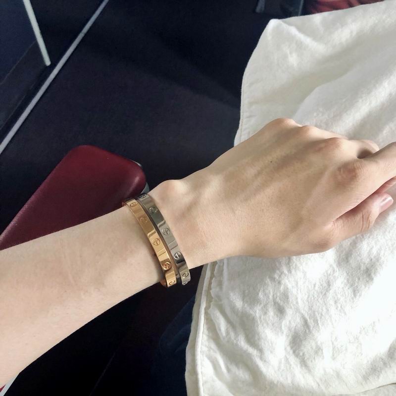 Cartier bracelet 12lyx41 (27)