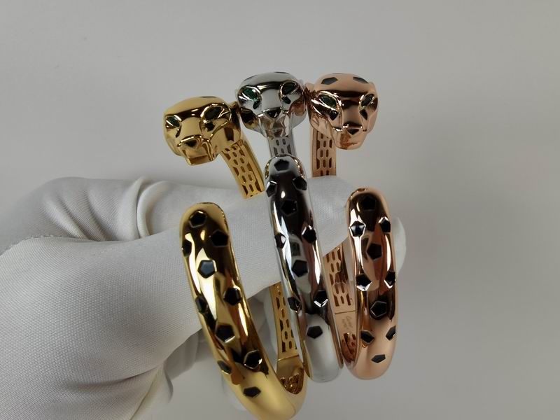 Cartier bracelet 11lyx30 (9)