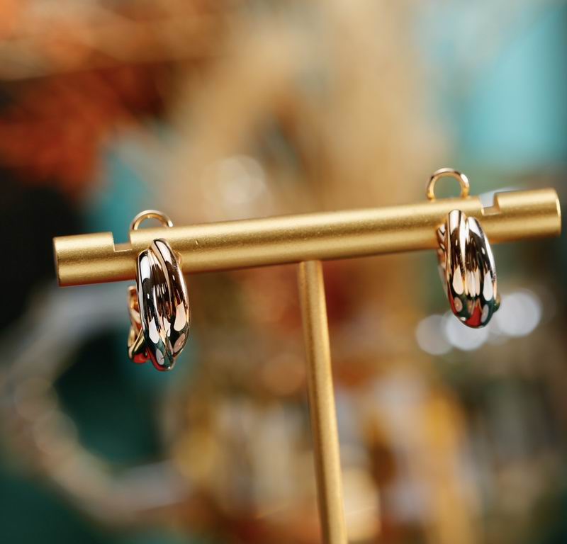 Cartier earring 04lyx45 (9)