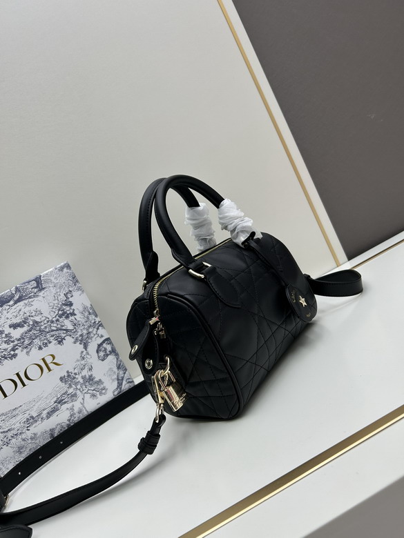 Dior 0270 20x13 5x12cm jj_1