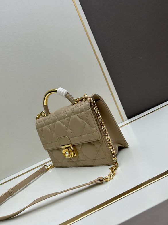 Dior 4401 25x16x9cm jj1_1