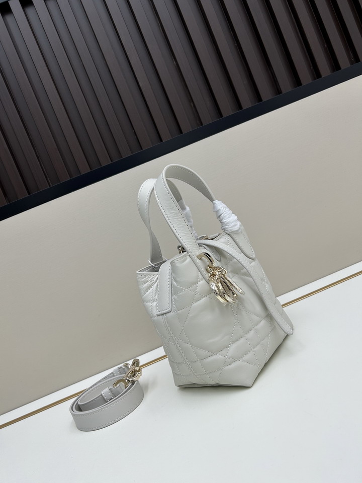 Dior Toujours 0328 13x12x8cm jj2_1