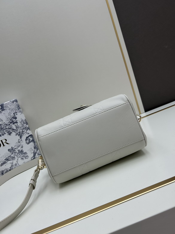 Dior 0270 20x13 5x12cm jj2_1