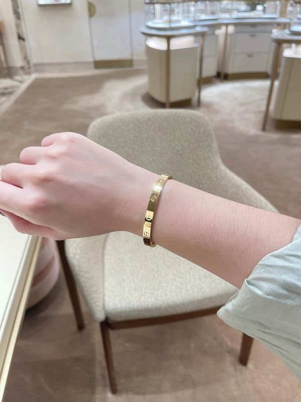 Cartier bracelet 12lyx41 (27)