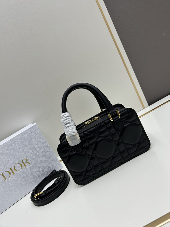 Dior Toujours 0315 20x12x8cm jj_1