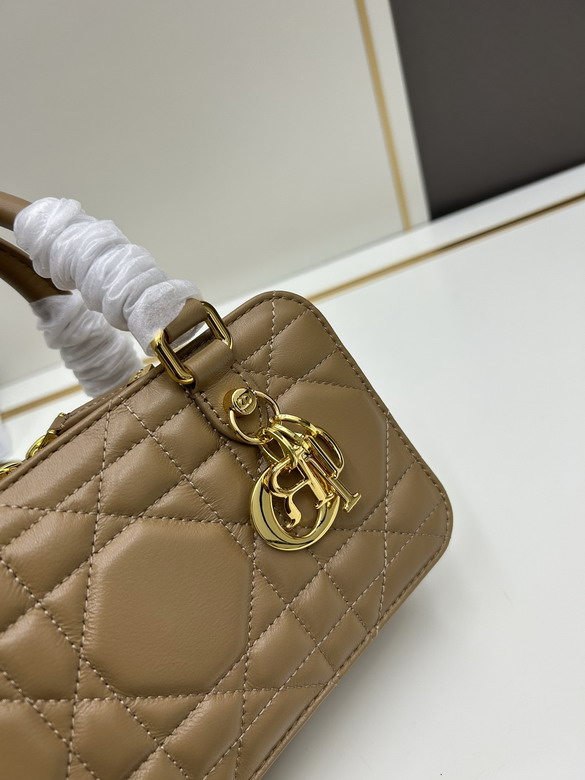 Dior Toujours 0315 20x12x8cm jj1_1