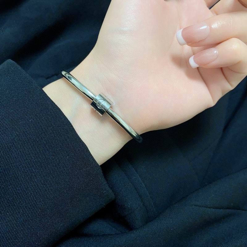 Cartier bracelet 11lyx16 (9)