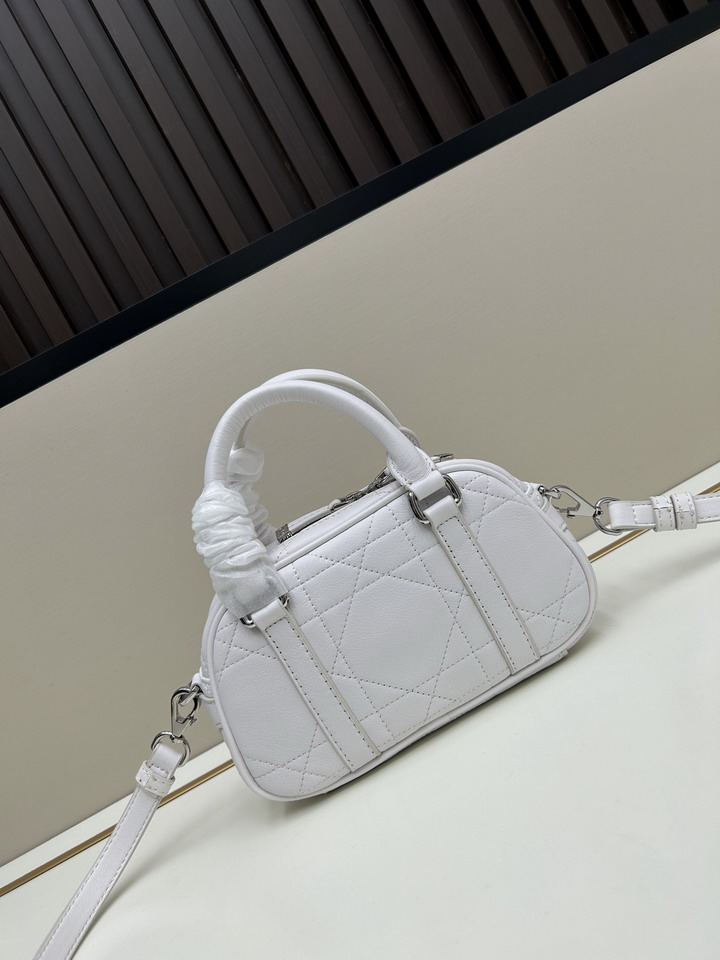 Dior 1683 20 5x13x5cm ss3_1