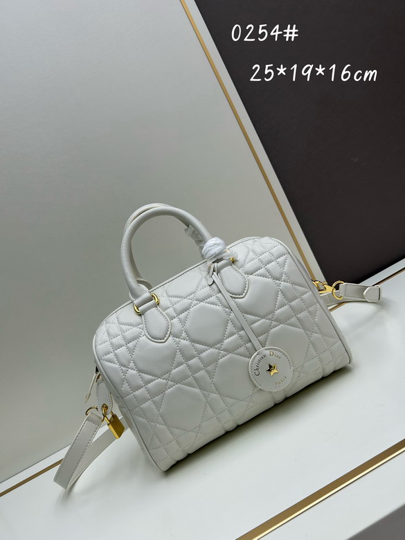 Dior Groove 0254 25x19x16cm jj2_1