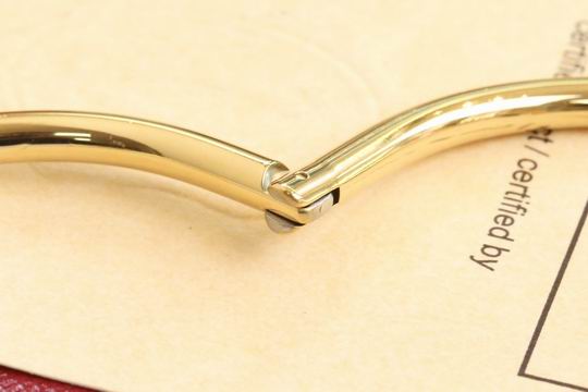 Cartier bracelet 11lyh198 (1)