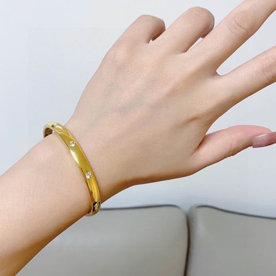 Cartier bracelet 11lyh157 (1)