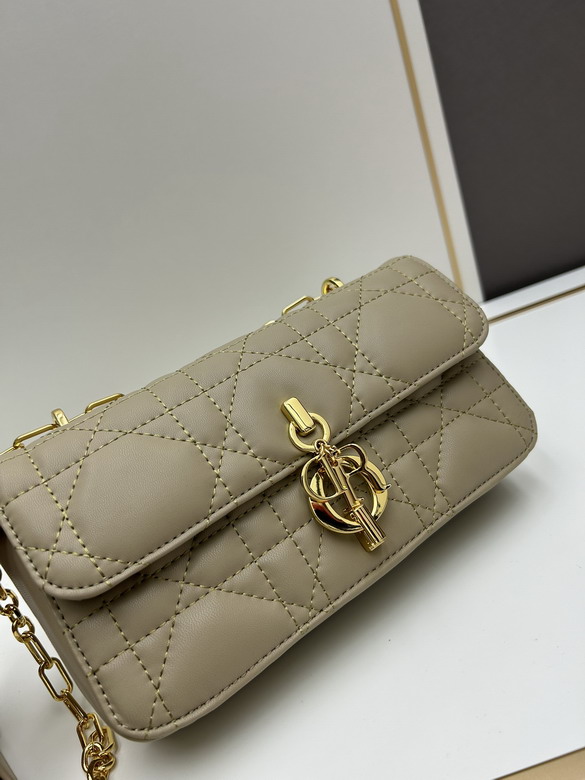 Dior miss s3300 22x12 5x4cm jj1_1