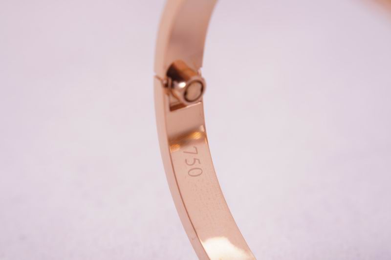 Cartier bracelet 03lyx62 (27)