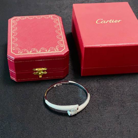 Cartier bracelet 12lyh221 (1)