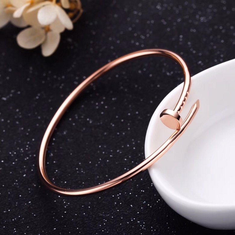 Cartier bracelet 03lyx93 (22)
